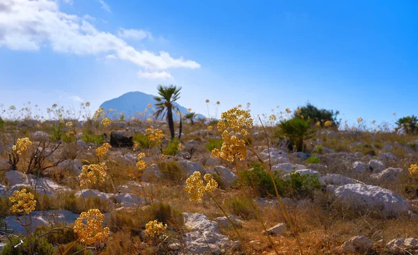 Montgo Berg Javea Zonsondergang Vanaf Kaap San Antonio Alicante Spanje — Stockfoto