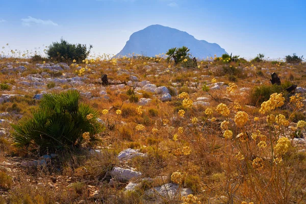 Montgo Fjellet Javea Ved Solnedgang Fra San Antonio Kapp Ved – stockfoto