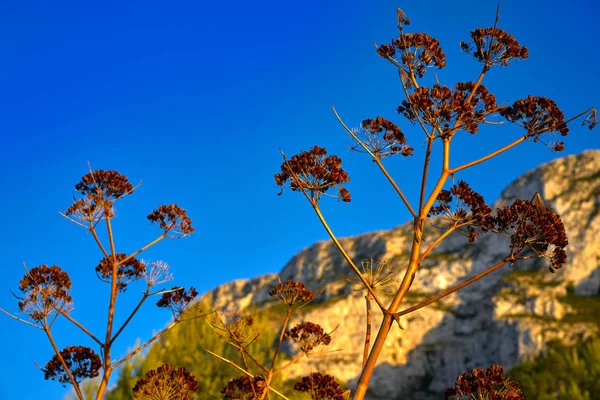 Montgo Berg Denia Alicante Spanje — Stockfoto