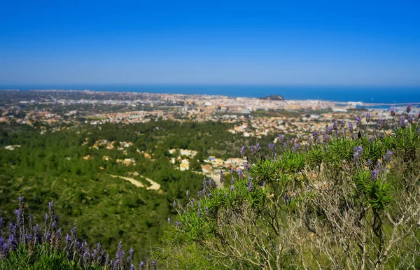 Denia Village Aerial View Camino Colonia Track Alicante Spain — Stock Photo, Image