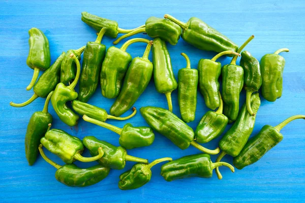 Padron Peppers Green Blue Wooden Table — Stock Photo, Image