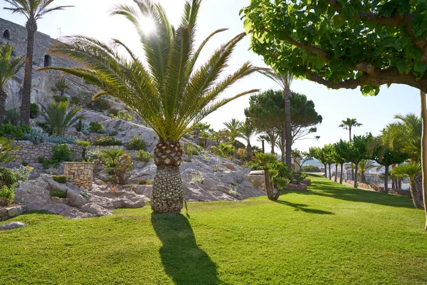 Peniscola Mediterraner Garten Castellon Von Spanien — Stockfoto