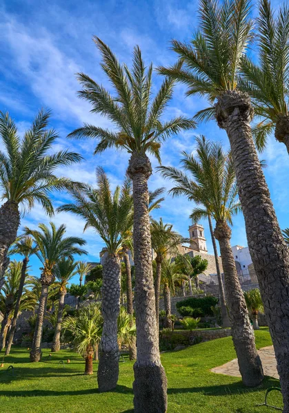 スペインのカステリョンのペニスコラ地中海の庭園 — ストック写真