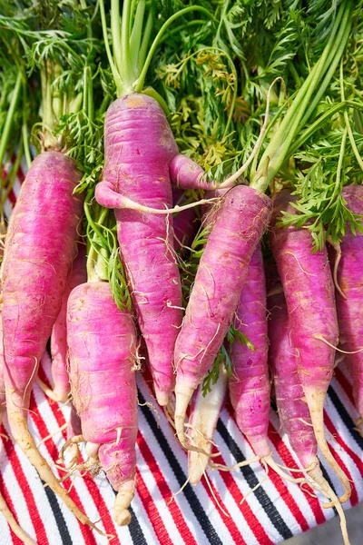 Pink Purple Carrots Organic Vegetables Mediterranean — Stock Photo, Image