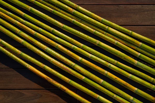River Canes Green Fresh Agriculture Purposes Spain — Stock Photo, Image