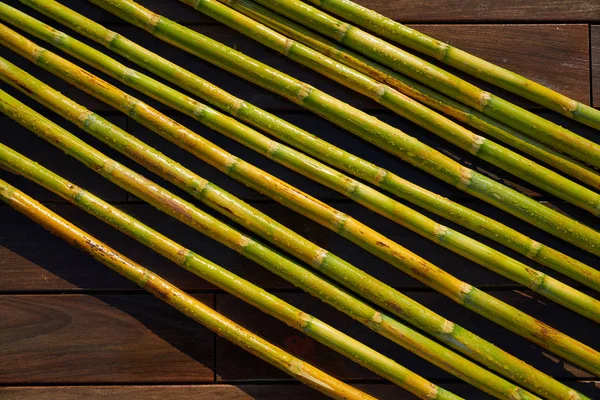 Canne Fiume Verdi Fresche Scopi Agricoli Spagna — Foto Stock