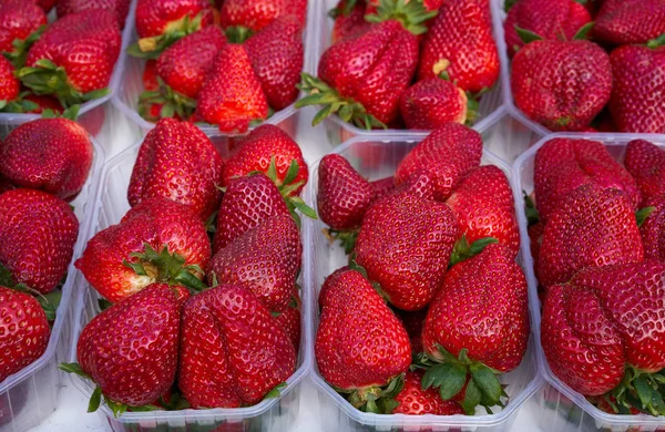 Erdbeeren Kisten Auf Freiluftmarkt — Stockfoto