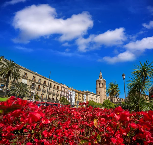 バレンシア広場 Valencia Plaza Reina Square Miguelete スペインのミカレット塔赤花 — ストック写真