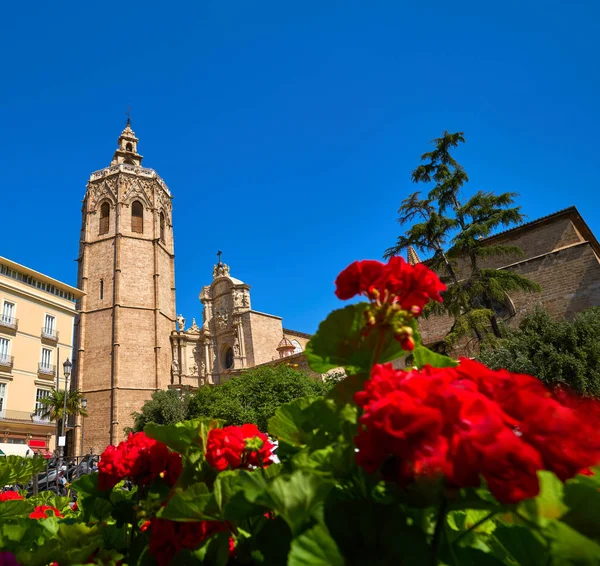 バレンシア広場 Valencia Plaza Reina Square Miguelete スペインのミカレット塔赤花 — ストック写真