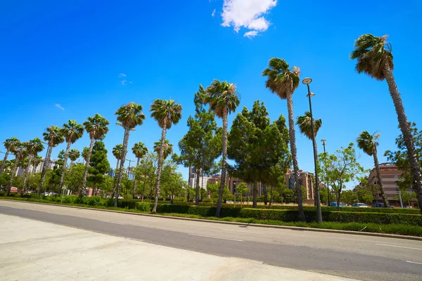 Valencia Campanar Camp Del Turia Straat Met Palmbomen Beniferri — Stockfoto