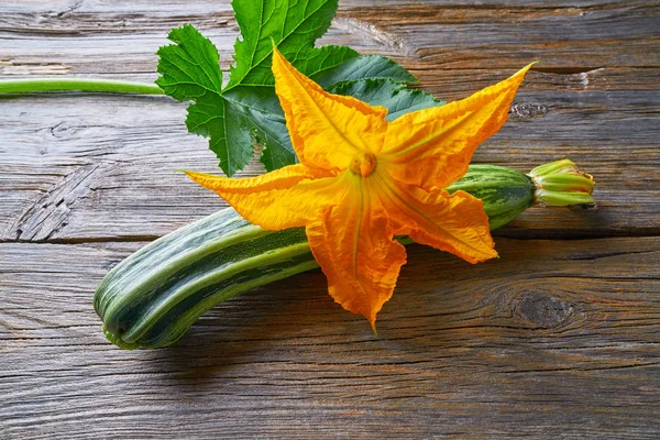 Zucchini Grönsaks Och Blomma Träskiva — Stockfoto