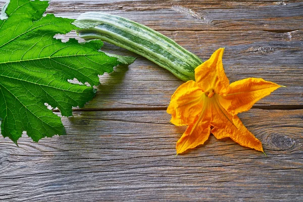 Abobrinha Vegetal Flor Tábua Madeira — Fotografia de Stock