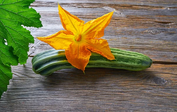 木板上的西葫芦蔬菜和花 — 图库照片