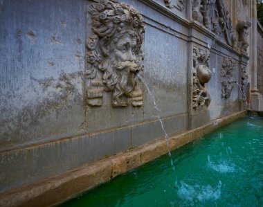 Alhambra Çeşme Pilar de Carlos V Granada, İspanya