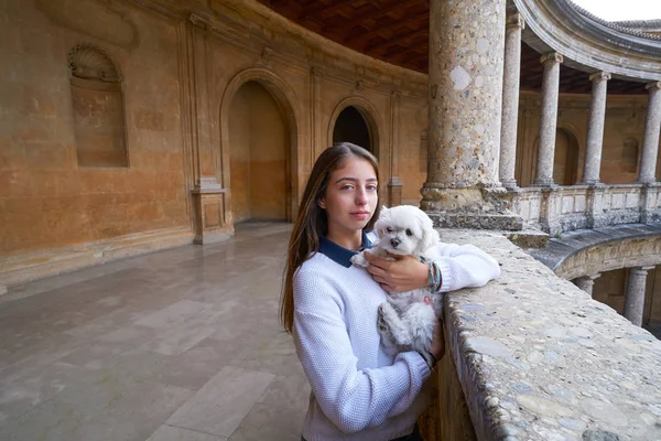 Turist Kız Ile Evde Beslenen Hayvan Doy Granada Alhambra Spanya — Stok fotoğraf