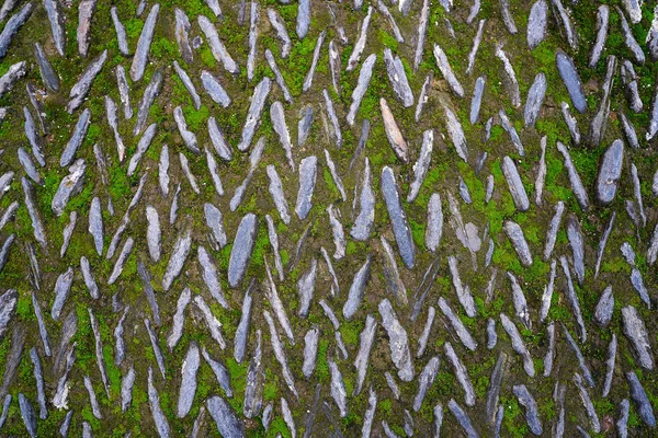 Piso Mosaico Pedra Alhambra Granada Andaluzia Espanha — Fotografia de Stock