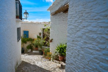 Pampaneira köyü Endülüs İspanya Granada'da Alpujarras sokakta