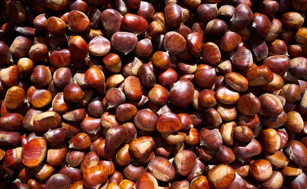 Padrão Fundo Castanha Granada Alpujarras Espanha — Fotografia de Stock