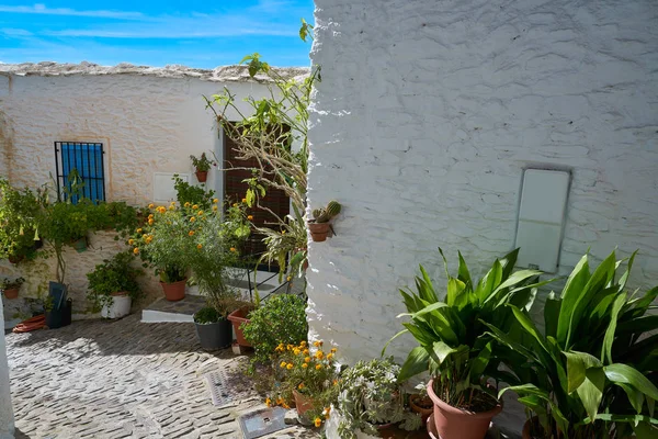 Calle Alpujarras Granada Pampaneira Pueblo Andalucía España — Foto de Stock