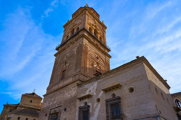Guadix Katedrali Andalusia, İspanya Granada