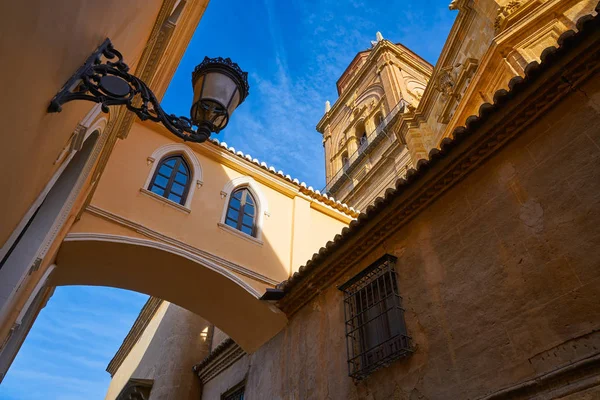 Boog Van Kathedraal Van Guadix Granada Spanje Andalusië — Stockfoto