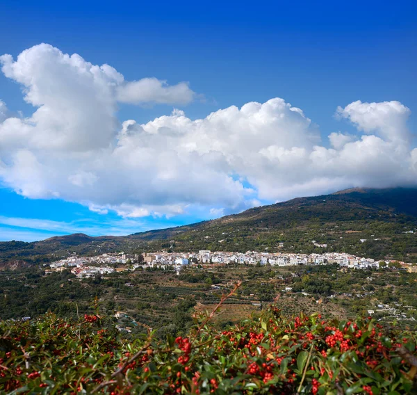 Lanjaron Χωριό Στην Περιοχή Alpujarras Της Γρανάδα Στο Σιέρα Νεβάδα — Φωτογραφία Αρχείου