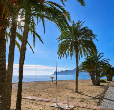 Altea beach Playa La Roda palmiye ağaçları Alicante, İspanya