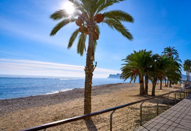 Altea beach Playa La Roda palmiye ağaçları Alicante, İspanya