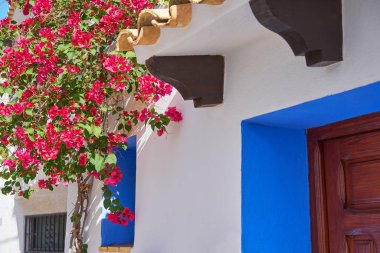 Alicante Akdeniz İspanya adlı köyde Altea beyaz