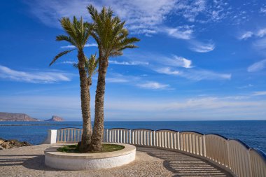 Altea beach Playa La Roda palmiye ağaçları Alicante, İspanya