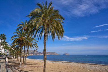 Altea beach Playa La Roda palmiye ağaçları Alicante, İspanya