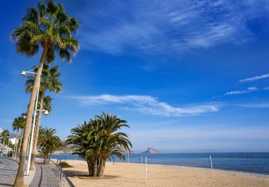 Altea beach Playa La Roda palmiye ağaçları Alicante, İspanya