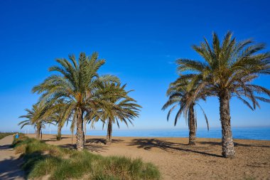 Costa Blanca İspanya, Alicante palmiye ağaçlarında marinalar Denia las plaj