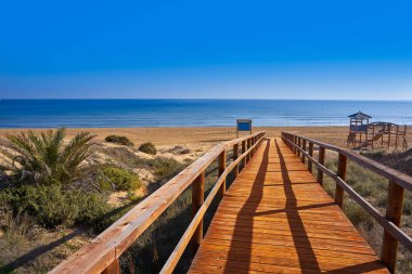 Arenals del Sol Beach dunes in Elche Elx of Alicante in Costa Blanca at Spain clipart