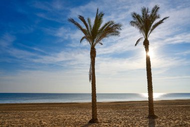 Guardamar del Segura merkezi plaj Alicante İspanya Costa Blanca