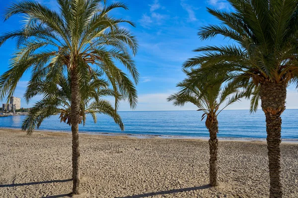 Playa Albufereta Alicante Costa Blanca España — Foto de Stock