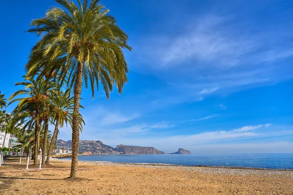 Altea Пляж Плайя Roda Пальмові Дерева Аліканте Іспанії — стокове фото