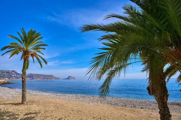 Altea Pláže Playa Roda Palmy Alicante Španělsku — Stock fotografie