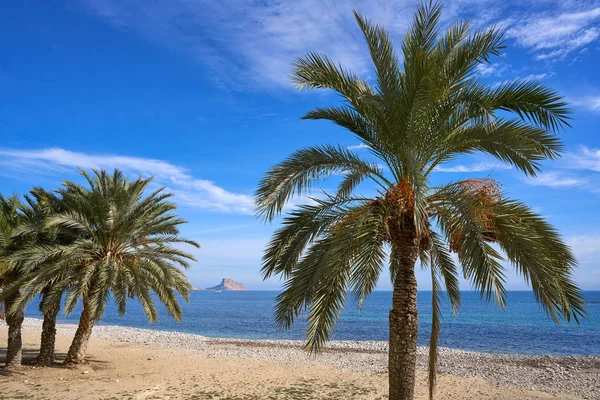 Пляж Altea Playa Roda Пальмы Аликанте Испания — стоковое фото