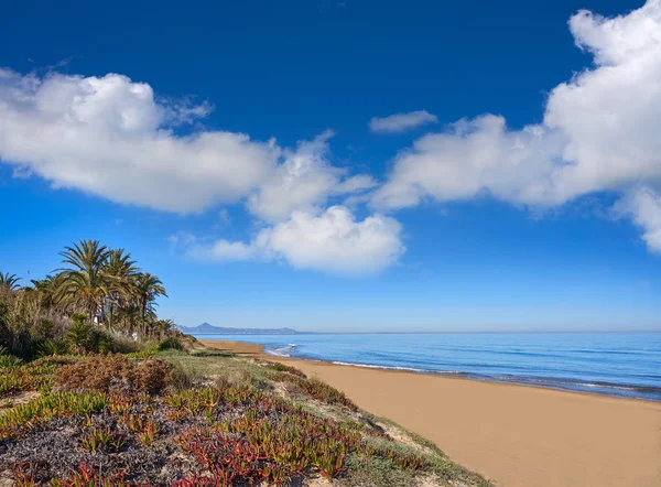 Denia Las Marinas Les Bovetes Strand Alicante Spanje Duinen — Stockfoto