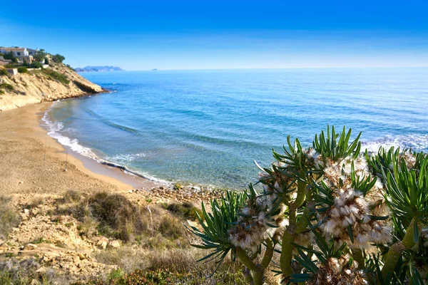 Campello Alicante Cala Lanuza Pláž Španělsku Costa Blanca — Stock fotografie