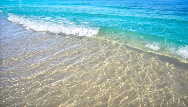 在西班牙地中海阿利桑特的科斯塔布兰卡清除海滩水沙 — 图库照片