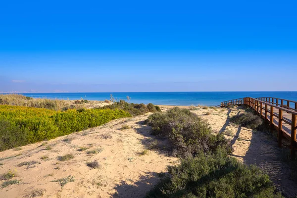 Arenals Del Sol Beach Duinen Elche Elx Van Alicante Costa — Stockfoto