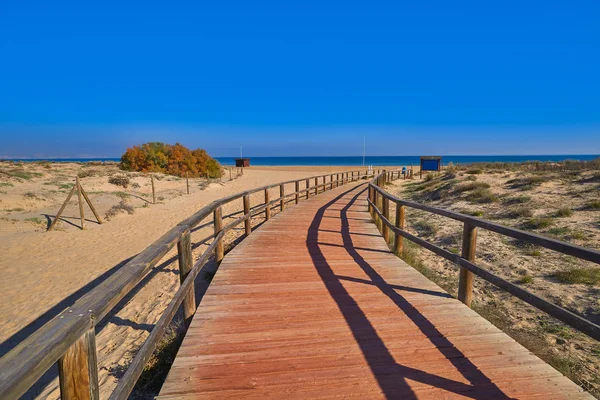 Carabassi Plaj Kum Tepelerine Elx Elche Alicante Costa Blanca Spanya — Stok fotoğraf