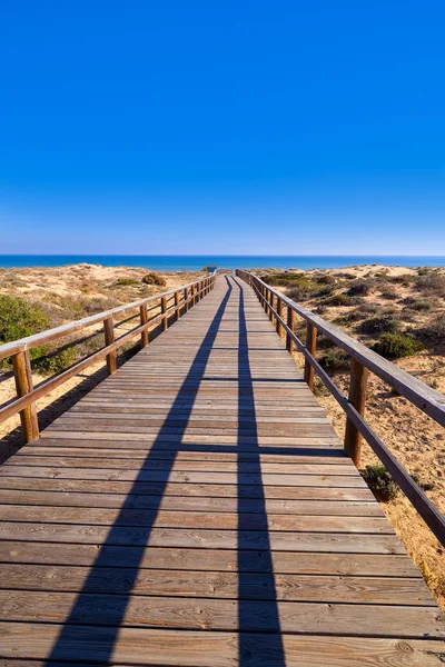 Dunas Playa Carabassi Elx Elche Alicante España Costa Blanca También —  Fotos de Stock