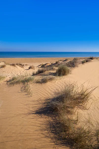 Carabassi Παραλία Αμμόλοφοι Στο Elx Elche Του Αλικάντε Στην Ισπανία — Φωτογραφία Αρχείου