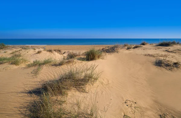 Carabassi 海滩沙丘在西班牙阿利坎特的 Elx Elche Costa Blanca 也卡拉巴斯 — 图库照片