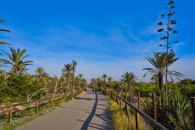 Kum tepelerine Guardamar del Segura Alicante İspanya