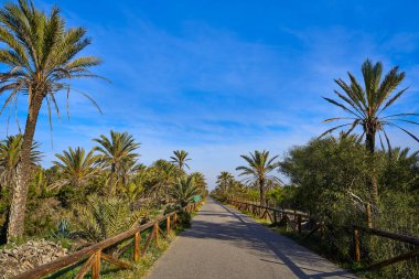 Kum tepelerine Guardamar del Segura Alicante İspanya