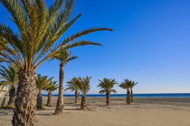 Alicante Spain Costa Blanca, Santa Pola Tamarit beach